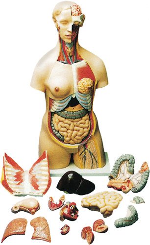  Pic1